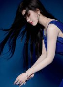 终止其省第十三次党代会代表资历；[全球时报特